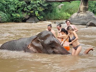 Arnaud, Daphne, Quentin, Stewart, Ingrid | Chiang Mai Trekking | The best trekking in Chiang Mai with Piroon Nantaya